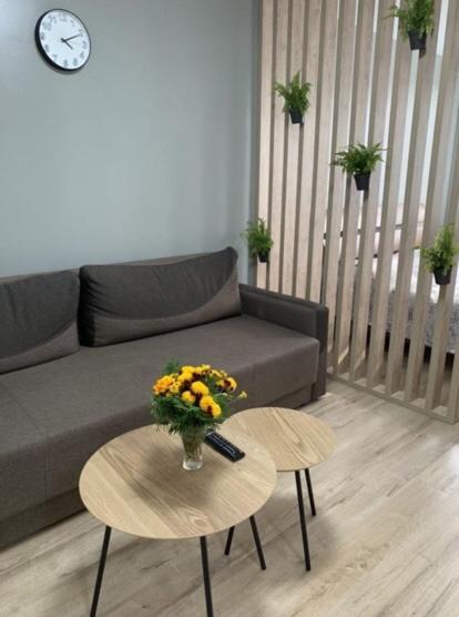 Babylon Apartments On Vidinska 41 Ρίβνε Εξωτερικό φωτογραφία